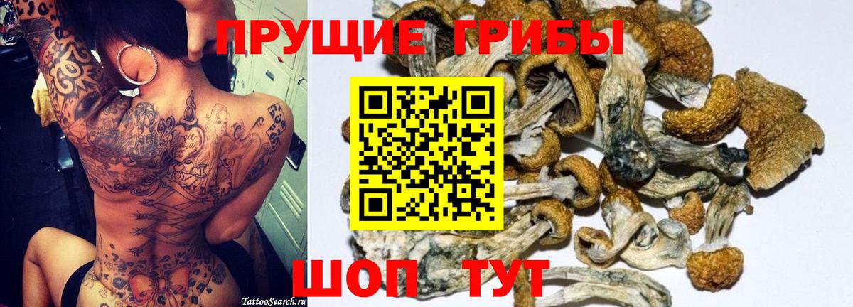 Псилоцибиновые грибы MAGIC MUSHROOMS  Вход с VPN  Назарово 